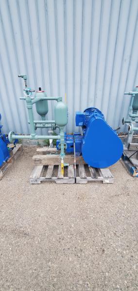 Used Bear Plunger Pump, Model BX-10(3)