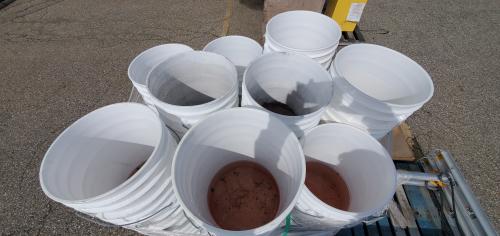 Lot of Aprox 80 Used 5 Gallon Buckets- No Lids